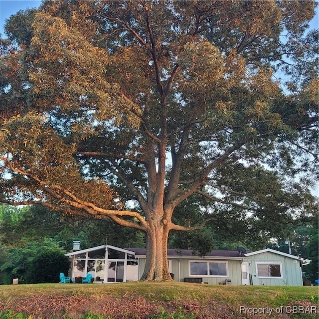 1583 Winona Park Dr, West Point, VA 23181 - view of green lawn