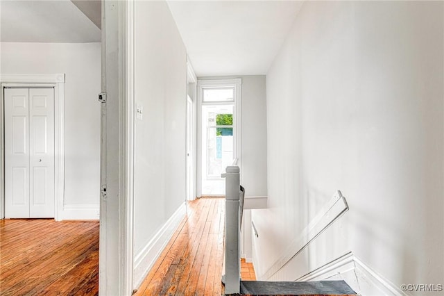 1302 W Cary St, Richmond, VA 23220 - photo 36