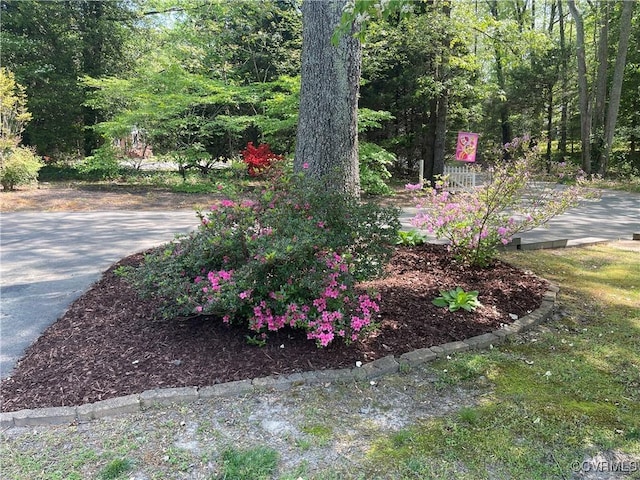 6197 Fishermans Way, Mechanicsville, VA 23116 - view of yard