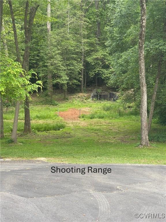 6197 Fishermans Way, Mechanicsville, VA 23116 - view of street with a wooded view