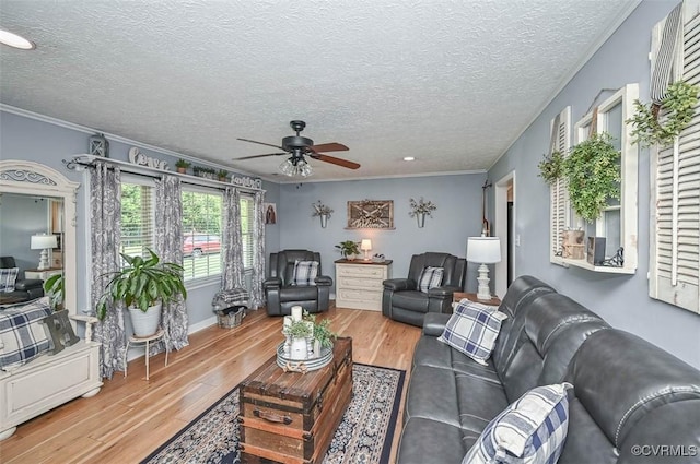 103 N Daisy Ave, Henrico, VA 23075 - living area with ceiling fan, wood finished floors, a textured ceiling, and crown molding