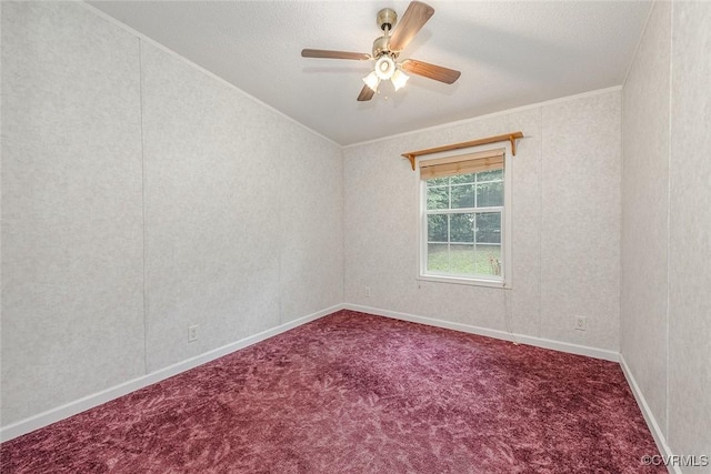 2603 Little Creek Dam Rd, Toano, VA 23168 - photo 24