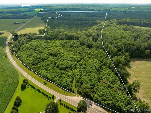 138ACRES Dutton Rd, Gloucester, VA 23061 - photo 1