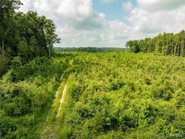 138ACRES Dutton Rd, Gloucester, VA 23061 - photo 2