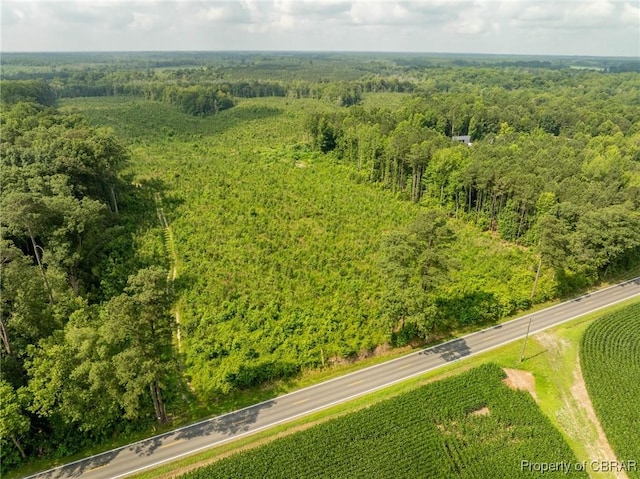 138ACRES Dutton Rd, Gloucester, VA 23061 - photo 3