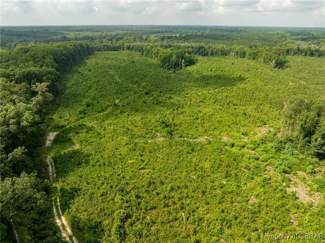 138ACRES Dutton Rd, Gloucester, VA 23061 - photo 4