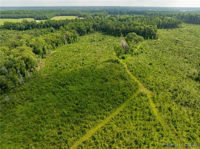 138ACRES Dutton Rd, Gloucester, VA 23061 - photo 12