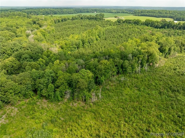 138ACRES Dutton Rd, Gloucester, VA 23061 - photo 13