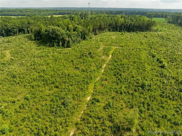 138ACRES Dutton Rd, Gloucester, VA 23061 - photo 14