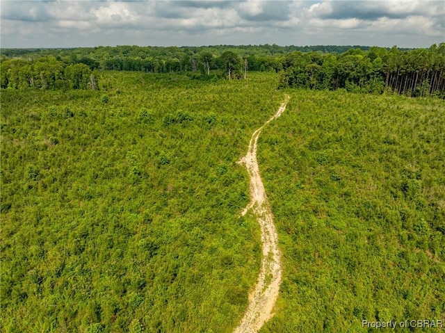 138ACRES Dutton Rd, Gloucester, VA 23061 - photo 15