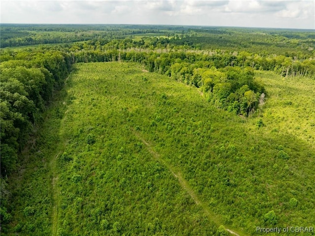 138ACRES Dutton Rd, Gloucester, VA 23061 - photo 6