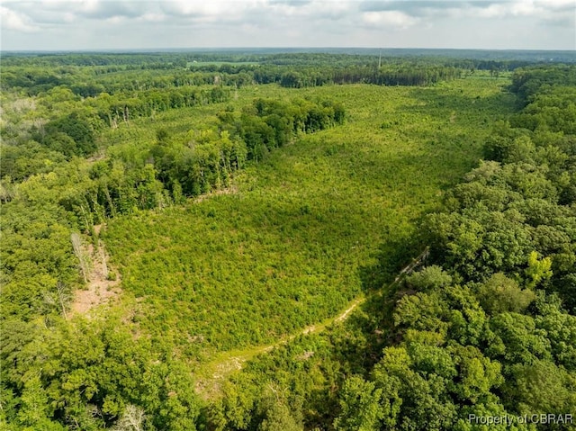 138ACRES Dutton Rd, Gloucester, VA 23061 - photo 7