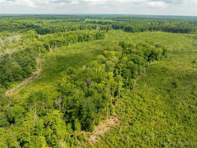 138ACRES Dutton Rd, Gloucester, VA 23061 - photo 8
