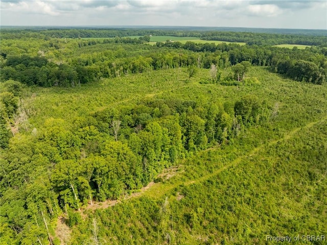 138ACRES Dutton Rd, Gloucester, VA 23061 - photo 9