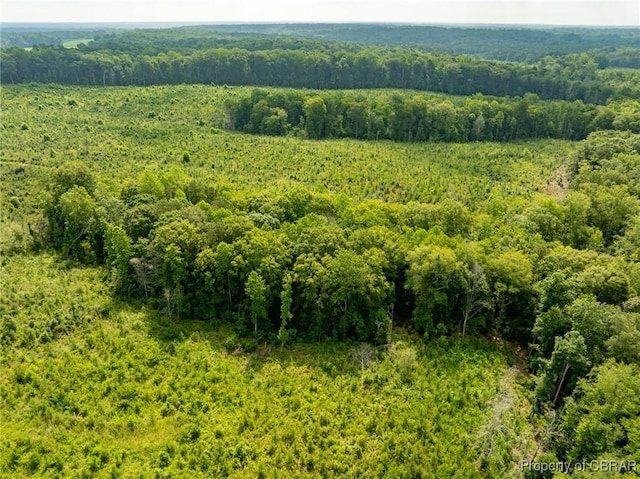 138ACRES Dutton Rd, Gloucester, VA 23061 - photo 10