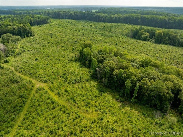 138ACRES Dutton Rd, Gloucester, VA 23061 - photo 11