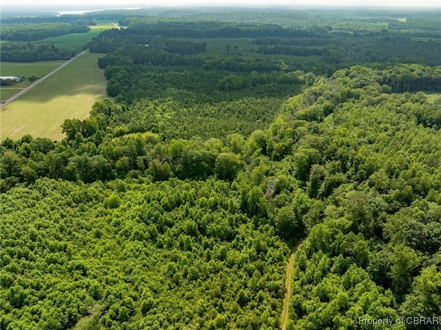 138ACRES Dutton Rd, Gloucester, VA 23061 - photo 24