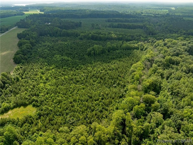 138ACRES Dutton Rd, Gloucester, VA 23061 - photo 25