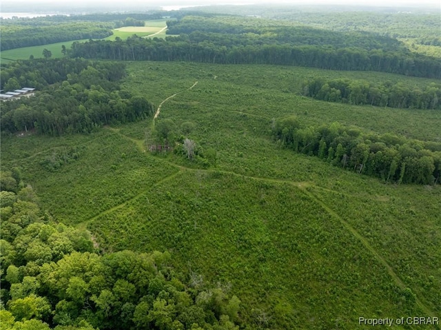 138ACRES Dutton Rd, Gloucester, VA 23061 - photo 28
