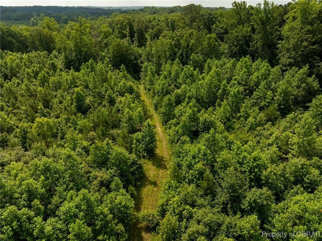 138ACRES Dutton Rd, Gloucester, VA 23061 - photo 33
