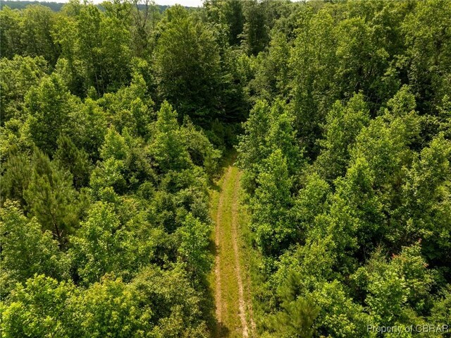 138ACRES Dutton Rd, Gloucester, VA 23061 - photo 34