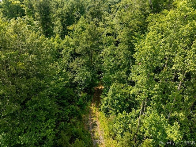 138ACRES Dutton Rd, Gloucester, VA 23061 - photo 35