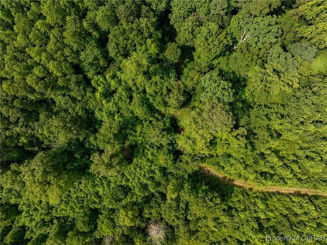 138ACRES Dutton Rd, Gloucester, VA 23061 - photo 36