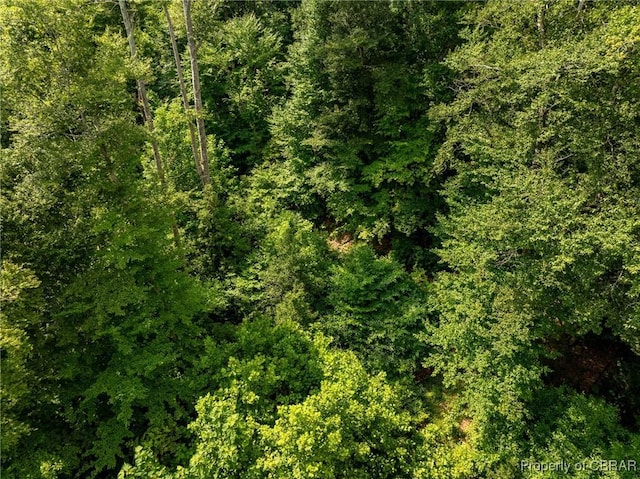 138ACRES Dutton Rd, Gloucester, VA 23061 - photo 37