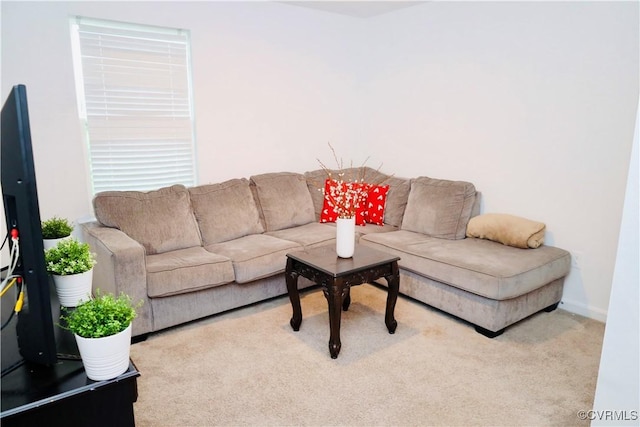6431 Faulkner Dr, North Chesterfield, VA 23234 - living area with carpet and baseboards