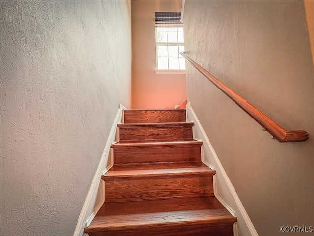 13631 Laketree Dr, Chester, VA 23831 - photo 20