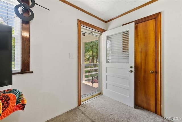 3614 Madison St, Prince George, VA 23860 - entrance foyer featuring a ceiling fan, carpet floors, healthy amount of natural light, and ornamental molding