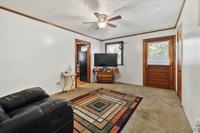 3614 Madison St, Prince George, VA 23860 - living room with ornamental molding, carpet floors, a ceiling fan, and a textured ceiling