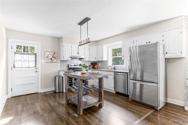 8101 Lake Shore Dr, North Chesterfield, VA 23235 - kitchen featuring appliances with stainless steel finishes, under cabinet range hood, healthy amount of natural light, and dark wood finished floors