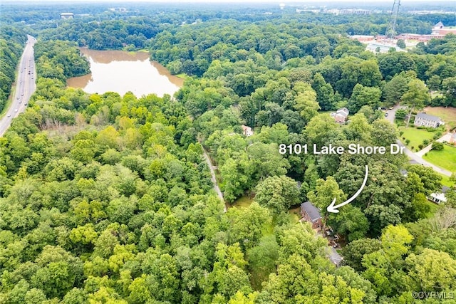 8101 Lake Shore Dr, North Chesterfield, VA 23235 - drone / aerial view of a forest