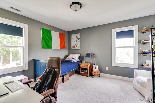 1240 Miners Trail Rd, Midlothian, VA 23114 - bedroom featuring carpet, a desk, and multiple windows