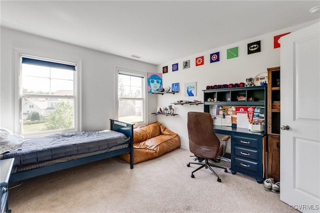 1240 Miners Trail Rd, Midlothian, VA 23114 - view of carpeted bedroom