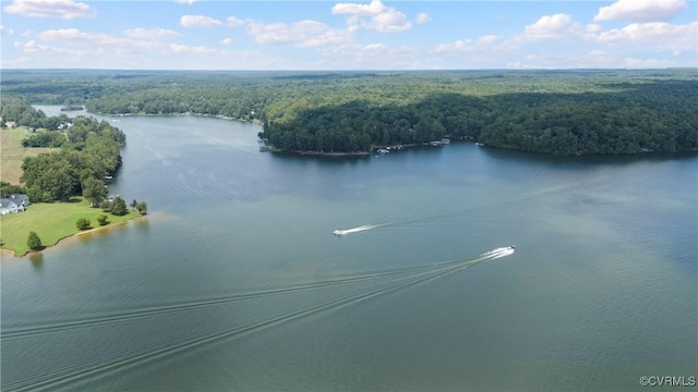 6131 Kellys Gln, Mineral, VA 23117 - drone / aerial view of a forest and a nearby body of water