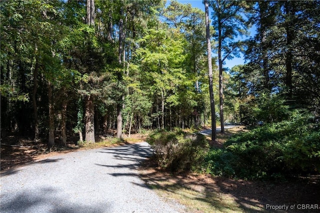 2276 Mosquito Point Rd, White Stone, VA 22578 - view of street featuring a wooded view