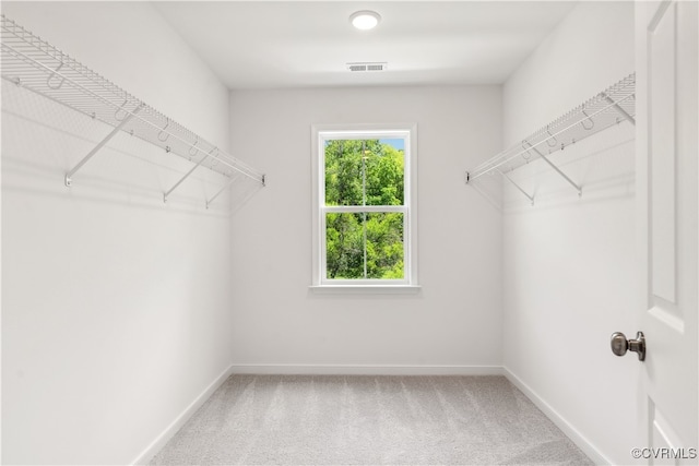 9130 Terroir Ln, New Kent, VA 23124 - walk in closet featuring carpet