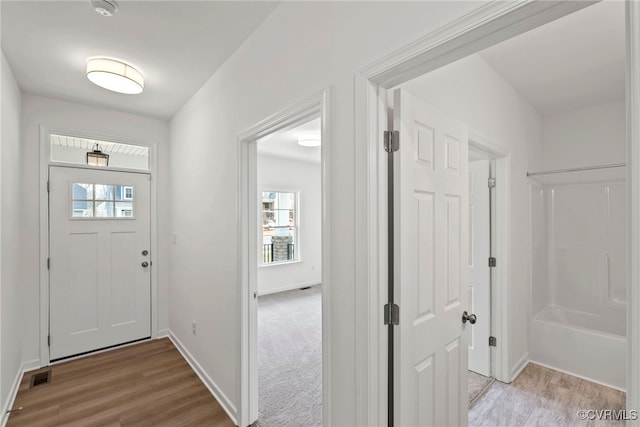 9131 Terroir Ln, New Kent, VA 23124 - foyer featuring healthy amount of natural light and light wood-style floors