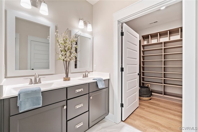 9066 Terroir Ln, New Kent, VA 23124 - bathroom with double vanity and a closet