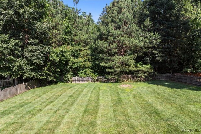 1525 Lundy Ter, Midlothian, VA 23114 - photo 36