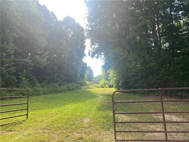 4554 Plank Rd, Kenbridge, VA 23944 - view of grassy yard