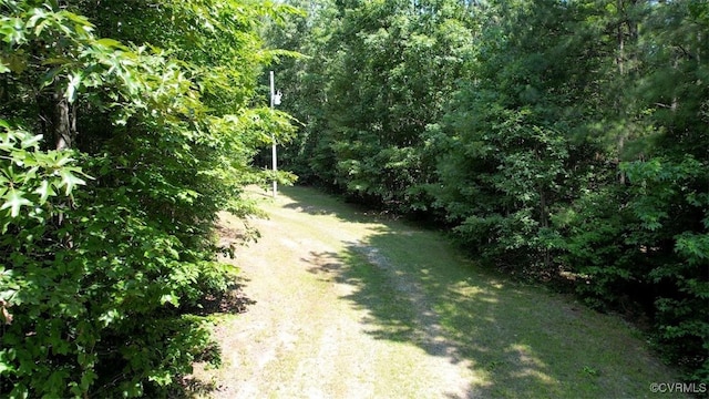 4554 Plank Rd, Kenbridge, VA 23944 - view of dirt / gravel road with a wooded view