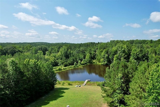 4554 Plank Rd, Kenbridge, VA 23944 - water view featuring a forest
