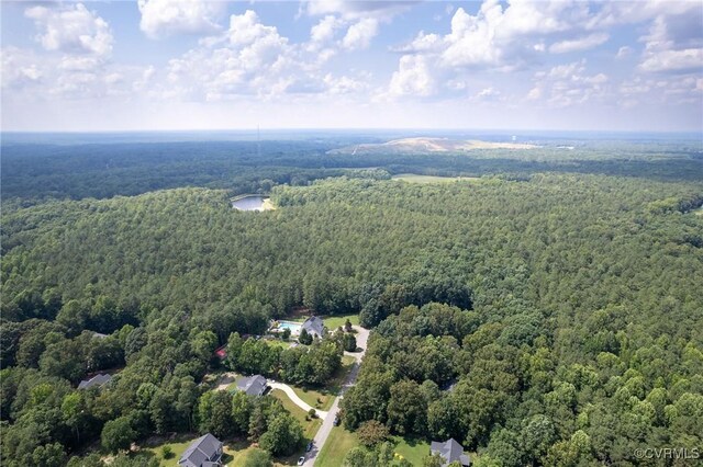 13813 Bluff Ridge Dr, Chesterfield, VA 23838 - aerial view of property and surrounding area with a heavily wooded area