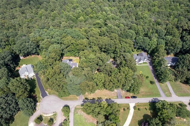 13813 Bluff Ridge Dr, Chesterfield, VA 23838 - aerial view of property and surrounding area featuring a forest