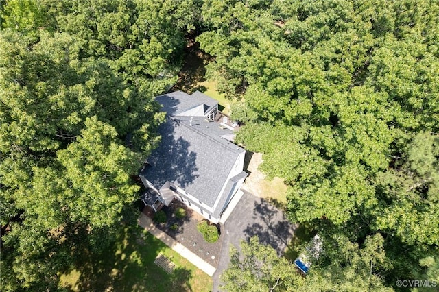 13813 Bluff Ridge Dr, Chesterfield, VA 23838 - view from above of property
