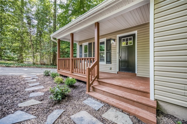 1436 Porters Mill Ter, Chesterfield, VA 23114 - view of wooden porch