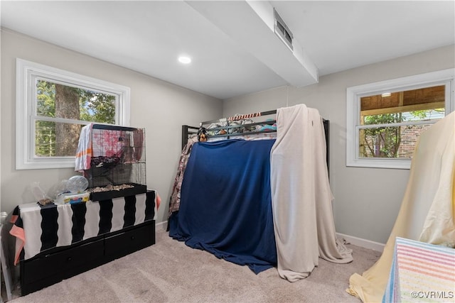2419 Fon Du Lac Rd, Henrico, VA 23229 - bedroom featuring carpet flooring